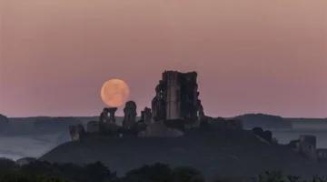 اليوم الأكثر حظًا للأبراج النارية في يناير 2026 يتزامن مع قمر منتصف الشهر ويمنح فرصًا جديدة 1